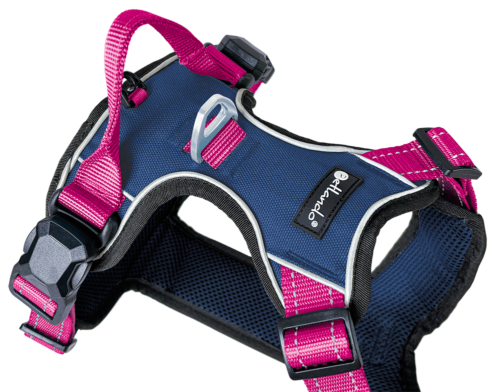 Magnetech Harnas Navy/Fuchsia
