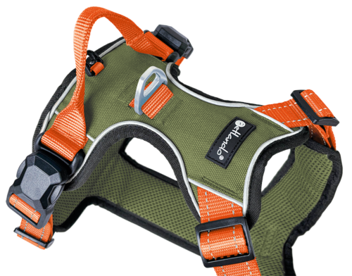 Magnetech Harnas Olive/Orange