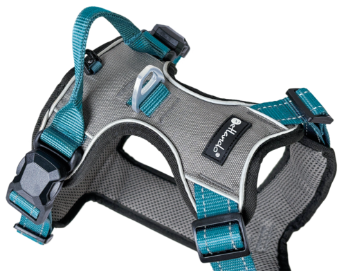 Magnetech Harnas Antraciet/Petrol