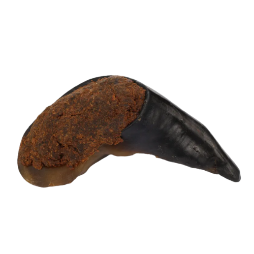 Buffelhoef met Long - 135 Gram