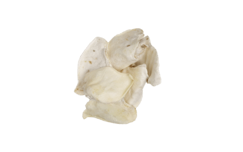 Gevriesdroogde Varkensoren - 5 Stuks