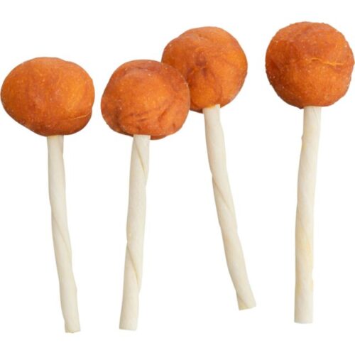 Kabeljauwlolly - 5 stuks