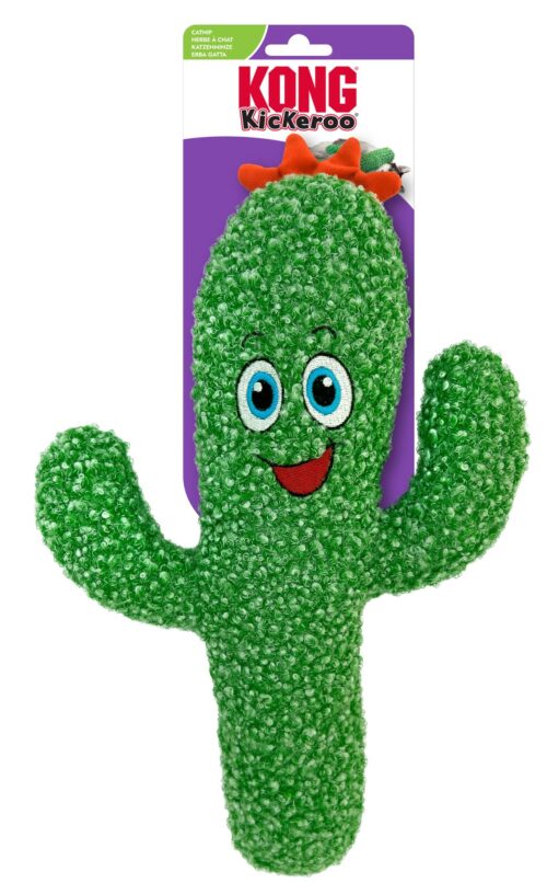 Kickeroo Cactus