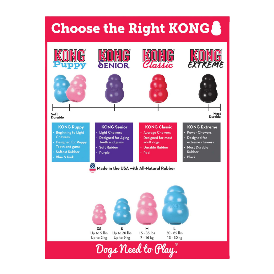 Kong Puppy