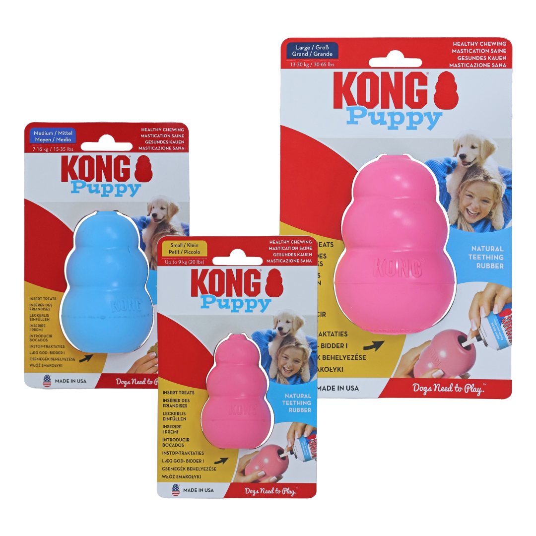 Kong Puppy