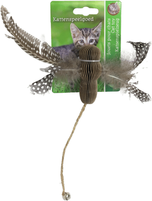 Libelle Karton met Veren Touw en Bel