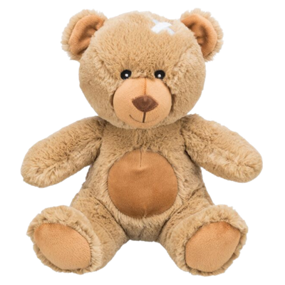 Pluche Teddy 23cm