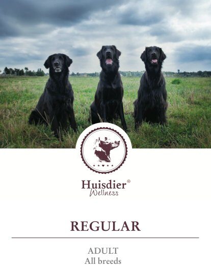 Huisdierwellness Adult - 15kg