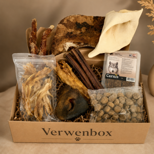 Verwenbox voor de Hond