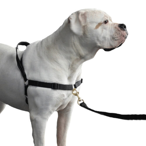 Zterk Mazter Anti-Trektuig - L